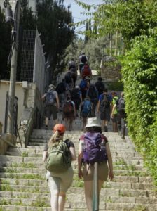 חיפה