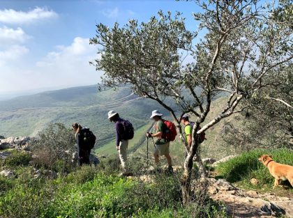 נחל שילה והמרפסת של המדינה: טיול ירוק מעבר לקווים