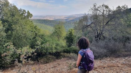 הר אדיר ונחל פער: טיול מעגלי בצפון עם הצצה ללבנון