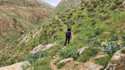 נחל עוג'ה: אירוסים, נופים מטריפים ונווה מדבר שווה בשומרון