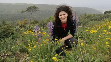 נחל גלים: מסלול למשפחות ועגלות בהר הכרמל ומסלולים למטיבי לכת