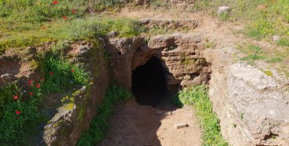 מערות אפקה ושביל הנרקיסים: פיסת טבע חמודה בתל אביב