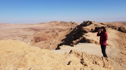 טיול בארץ בראשית: כרבולת חרירים עד הערבה